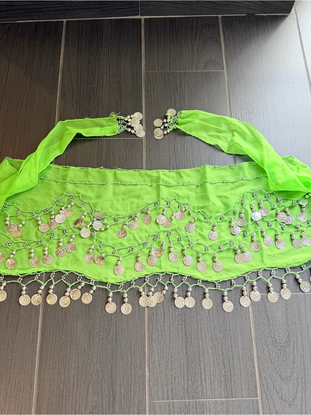 Lime Green Coin Fringe Belly Dance Hip Scarf